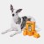 OLINGO-VETRESKA-tangerine-set-007.jpg